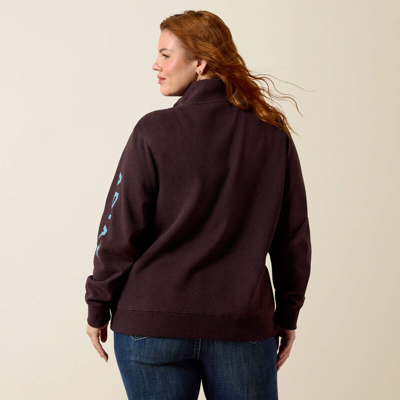Foundation Logo 1/2 Zip Sweatshirt Back Plus