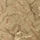 OLIVE FOREST CAMO