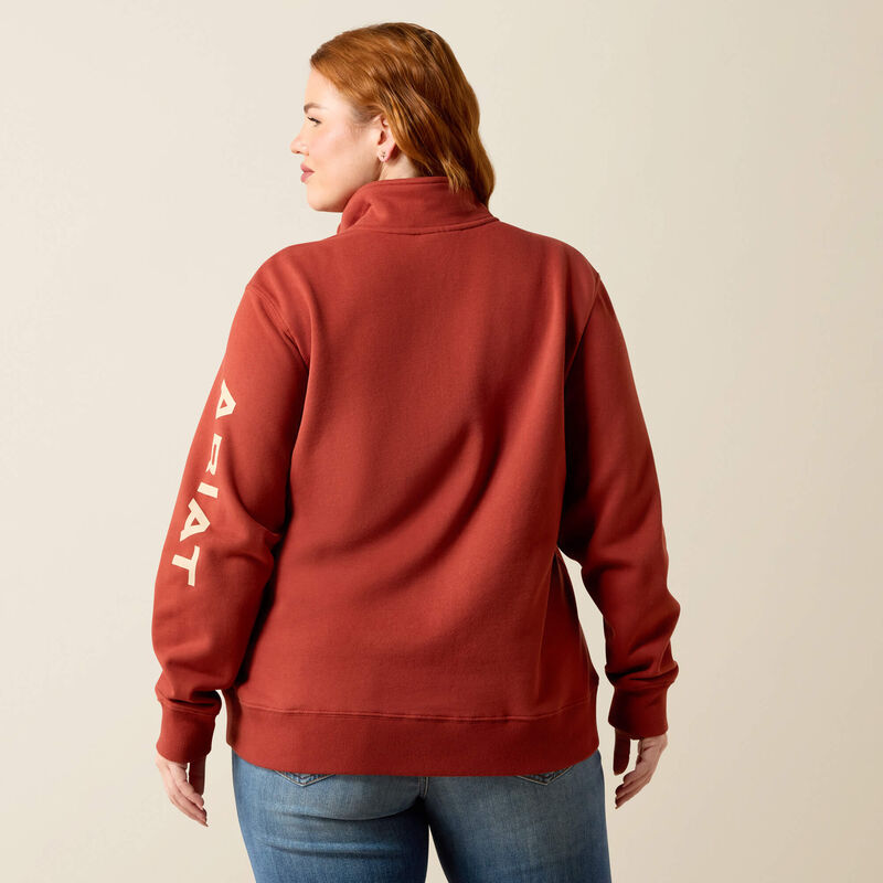 Foundation Logo 1/2 Zip Sweatshirt Back Plus