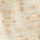 TAUPE GREY