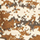 DESERT DIGI CAMO