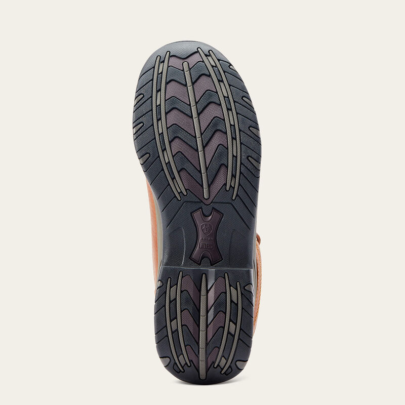 Terrain Sole